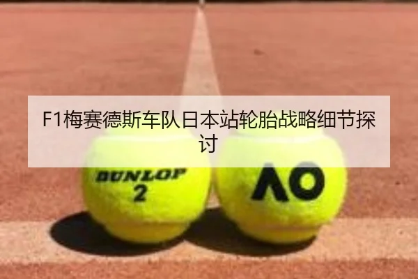 F1梅赛德斯车队日本站轮胎战略细节探讨